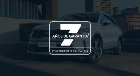 Kia Service banner Sportage body cleaning 