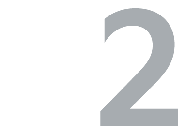 2, Icon