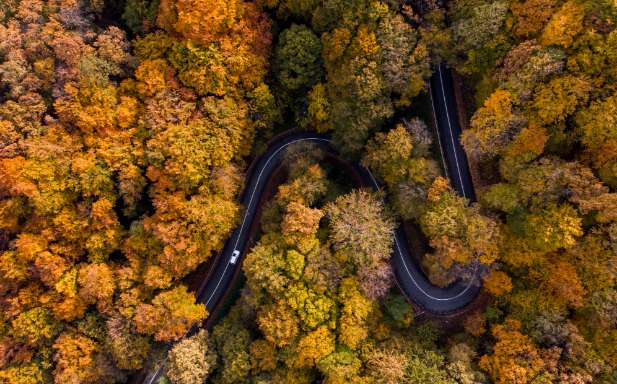 Kia Herbst-Check