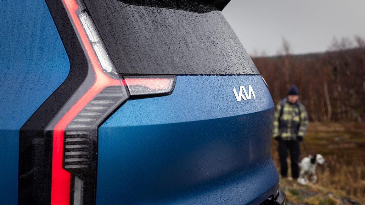 Unique LED taillight signature